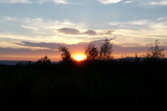 20150802_202530